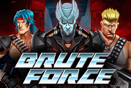 img-Brute Force